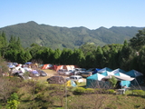 水田营地